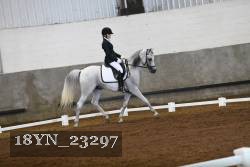 18YN_23297 thumbnail