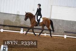 18YN_23324 thumbnail