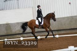 18YN_23329 thumbnail