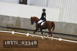 18YN_23348 thumbnail
