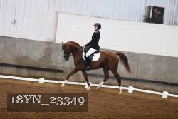 18YN_23349 thumbnail