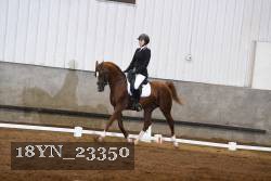 18YN_23350 thumbnail
