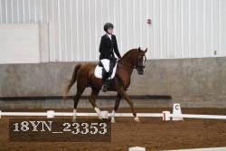 18YN_23353 thumbnail