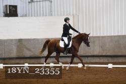 18YN_23355 thumbnail