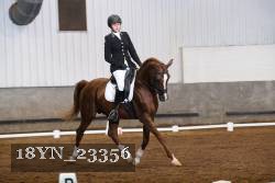 18YN_23356 thumbnail