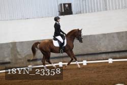 18YN_23358 thumbnail