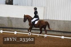 18YN_23362 thumbnail