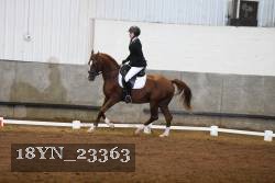18YN_23363 thumbnail