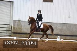 18YN_23364 thumbnail