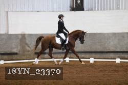 18YN_23370 thumbnail