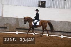18YN_23428 thumbnail