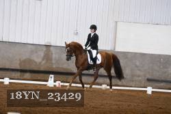 18YN_23429 thumbnail