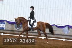 18YN_23432 thumbnail