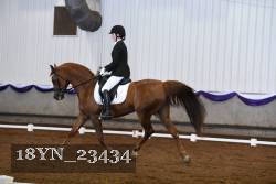 18YN_23434 thumbnail