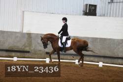 18YN_23436 thumbnail