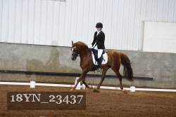 18YN_23437 thumbnail