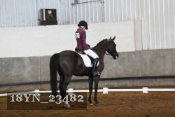 18YN_23482 thumbnail