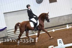 18YN_23542 thumbnail