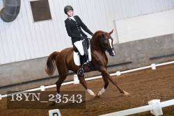 18YN_23543 thumbnail