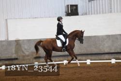 18YN_23544 thumbnail