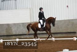 18YN_23545 thumbnail
