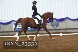 18YN_23552 thumbnail