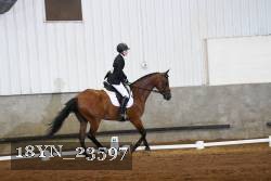 18YN_23597 thumbnail
