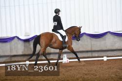 18YN_23601 thumbnail
