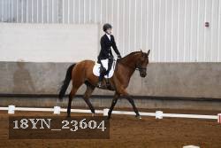18YN_23604 thumbnail