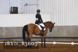 18YN_23605 thumbnail