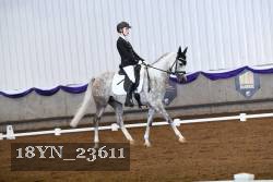 18YN_23611 thumbnail