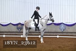 18YN_23612 thumbnail