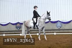18YN_23613 thumbnail