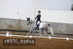 18YN_23614 thumbnail