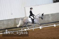 18YN_23616 thumbnail