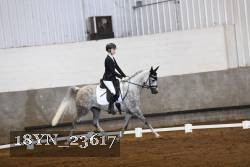 18YN_23617 thumbnail