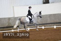 18YN_23619 thumbnail