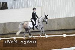 18YN_23620 thumbnail