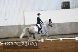 18YN_23623 thumbnail