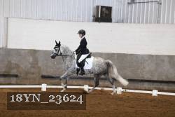 18YN_23624 thumbnail