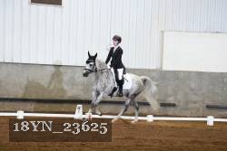 18YN_23625 thumbnail