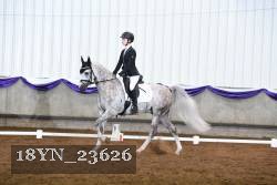 18YN_23626 thumbnail