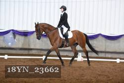 18YN_23662 thumbnail