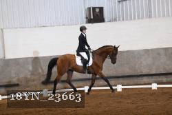 18YN_23663 thumbnail