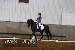18YN_18585 thumbnail