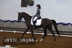 18YN_18586 thumbnail