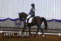 18YN_18589 thumbnail