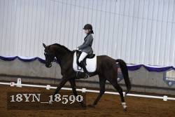 18YN_18590 thumbnail