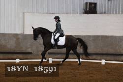 18YN_18591 thumbnail
