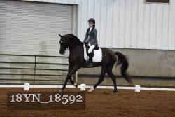 18YN_18592 thumbnail